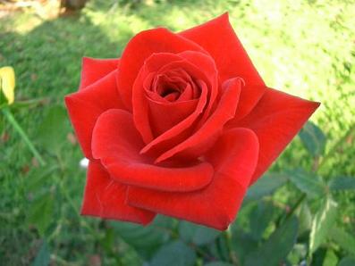 clip_image002.jpg
